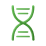 DNA Icon